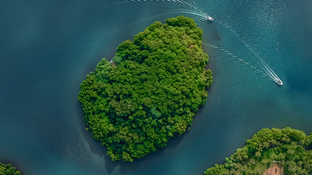 The Islands's Celeste Resonance